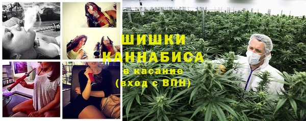 мяу мяу мука Бородино