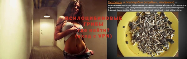 мяу мяу мука Бородино