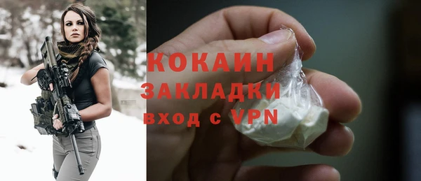 мяу мяу мука Бородино