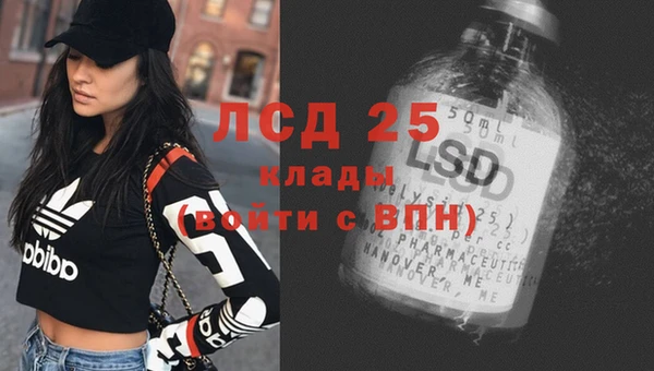мяу мяу мука Бородино