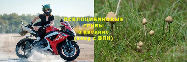 мяу мяу мука Бородино