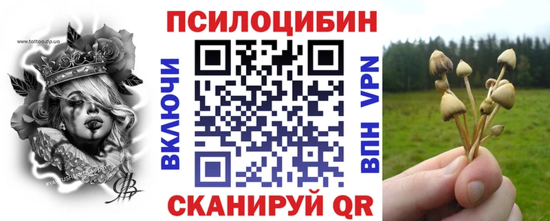 Галлюциногенные грибы MAGIC MUSHROOMS  Купить закладки  Богучар 